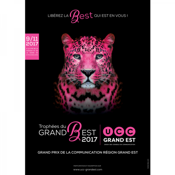 Grand Prix UCC Grand Est 2017